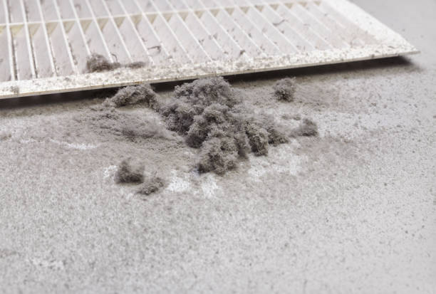 Best Ductwork Cleaning Services  in Abilene, TX